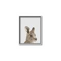 Picture of Kangaroo    _GroupedProduct_Rectangle_Portrait_Mini_ _GroupedProduct_Rectangle_Portrait_Canvas_Framed_
