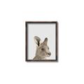 Picture of Kangaroo    _GroupedProduct_Rectangle_Portrait_Mini_ _GroupedProduct_Rectangle_Portrait_Canvas_Framed_