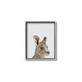Picture of Kangaroo    _GroupedProduct_Rectangle_Portrait_Mini_ _GroupedProduct_Rectangle_Portrait_Canvas_Framed_