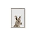 Picture of Kangaroo    _GroupedProduct_Rectangle_Portrait_Mini_ _GroupedProduct_Rectangle_Portrait_Canvas_Framed_