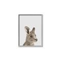 Picture of Kangaroo    _GroupedProduct_Rectangle_Portrait_Mini_ _GroupedProduct_Rectangle_Portrait_Canvas_Framed_