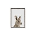 Picture of Kangaroo    _GroupedProduct_Rectangle_Portrait_Mini_ _GroupedProduct_Rectangle_Portrait_Canvas_Framed_
