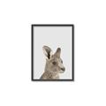 Picture of Kangaroo    _GroupedProduct_Rectangle_Portrait_Mini_ _GroupedProduct_Rectangle_Portrait_Canvas_Framed_
