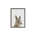 Picture of Kangaroo    _GroupedProduct_Rectangle_Portrait_Mini_ _GroupedProduct_Rectangle_Portrait_Canvas_Framed_