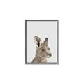 Picture of Kangaroo    _GroupedProduct_Rectangle_Portrait_Mini_ _GroupedProduct_Rectangle_Portrait_Canvas_Framed_