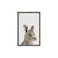 Picture of Kangaroo    _GroupedProduct_Rectangle_Portrait_Mini_ _GroupedProduct_Rectangle_Portrait_Canvas_Framed_