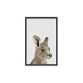 Picture of Kangaroo    _GroupedProduct_Rectangle_Portrait_Mini_ _GroupedProduct_Rectangle_Portrait_Canvas_Framed_
