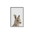 Picture of Kangaroo    _GroupedProduct_Rectangle_Portrait_Mini_ _GroupedProduct_Rectangle_Portrait_Canvas_Framed_