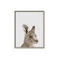 Picture of Kangaroo    _GroupedProduct_Rectangle_Portrait_Mini_ _GroupedProduct_Rectangle_Portrait_Canvas_Framed_