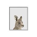 Picture of Kangaroo    _GroupedProduct_Rectangle_Portrait_Mini_ _GroupedProduct_Rectangle_Portrait_Canvas_Framed_