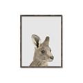 Picture of Kangaroo    _GroupedProduct_Rectangle_Portrait_Mini_ _GroupedProduct_Rectangle_Portrait_Canvas_Framed_
