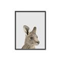 Picture of Kangaroo    _GroupedProduct_Rectangle_Portrait_Mini_ _GroupedProduct_Rectangle_Portrait_Canvas_Framed_