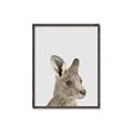 Picture of Kangaroo    _GroupedProduct_Rectangle_Portrait_Mini_ _GroupedProduct_Rectangle_Portrait_Canvas_Framed_