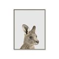 Picture of Kangaroo    _GroupedProduct_Rectangle_Portrait_Mini_ _GroupedProduct_Rectangle_Portrait_Canvas_Framed_