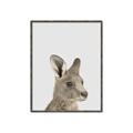 Picture of Kangaroo    _GroupedProduct_Rectangle_Portrait_Mini_ _GroupedProduct_Rectangle_Portrait_Canvas_Framed_