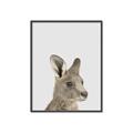 Picture of Kangaroo    _GroupedProduct_Rectangle_Portrait_Mini_ _GroupedProduct_Rectangle_Portrait_Canvas_Framed_