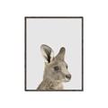 Picture of Kangaroo    _GroupedProduct_Rectangle_Portrait_Mini_ _GroupedProduct_Rectangle_Portrait_Canvas_Framed_