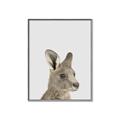 Picture of Kangaroo    _GroupedProduct_Rectangle_Portrait_Mini_ _GroupedProduct_Rectangle_Portrait_Canvas_Framed_
