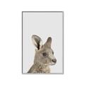 Picture of Kangaroo    _GroupedProduct_Rectangle_Portrait_Mini_ _GroupedProduct_Rectangle_Portrait_Canvas_Framed_
