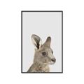 Picture of Kangaroo    _GroupedProduct_Rectangle_Portrait_Mini_ _GroupedProduct_Rectangle_Portrait_Canvas_Framed_