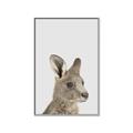 Picture of Kangaroo    _GroupedProduct_Rectangle_Portrait_Mini_ _GroupedProduct_Rectangle_Portrait_Canvas_Framed_