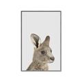 Picture of Kangaroo    _GroupedProduct_Rectangle_Portrait_Mini_ _GroupedProduct_Rectangle_Portrait_Canvas_Framed_