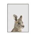 Picture of Kangaroo    _GroupedProduct_Rectangle_Portrait_Mini_ _GroupedProduct_Rectangle_Portrait_Canvas_Framed_