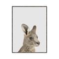 Picture of Kangaroo    _GroupedProduct_Rectangle_Portrait_Mini_ _GroupedProduct_Rectangle_Portrait_Canvas_Framed_