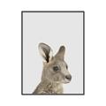 Picture of Kangaroo    _GroupedProduct_Rectangle_Portrait_Mini_ _GroupedProduct_Rectangle_Portrait_Canvas_Framed_