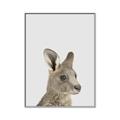 Picture of Kangaroo    _GroupedProduct_Rectangle_Portrait_Mini_ _GroupedProduct_Rectangle_Portrait_Canvas_Framed_