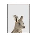 Picture of Kangaroo    _GroupedProduct_Rectangle_Portrait_Mini_ _GroupedProduct_Rectangle_Portrait_Canvas_Framed_