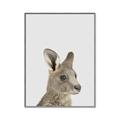 Picture of Kangaroo    _GroupedProduct_Rectangle_Portrait_Mini_ _GroupedProduct_Rectangle_Portrait_Canvas_Framed_