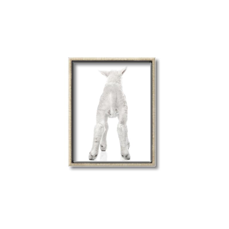 Picture of Behind Lamb _GroupedProduct_Rectangle_Portrait_Mini_ _GroupedProduct_Rectangle_Portrait_Canvas_Framed_