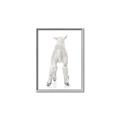 Picture of Behind Lamb _GroupedProduct_Rectangle_Portrait_Mini_ _GroupedProduct_Rectangle_Portrait_Canvas_Framed_