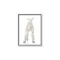 Picture of Behind Lamb _GroupedProduct_Rectangle_Portrait_Mini_ _GroupedProduct_Rectangle_Portrait_Canvas_Framed_