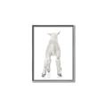 Picture of Behind Lamb _GroupedProduct_Rectangle_Portrait_Mini_ _GroupedProduct_Rectangle_Portrait_Canvas_Framed_