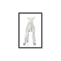 Picture of Behind Lamb _GroupedProduct_Rectangle_Portrait_Mini_ _GroupedProduct_Rectangle_Portrait_Canvas_Framed_