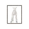 Picture of Behind Lamb _GroupedProduct_Rectangle_Portrait_Mini_ _GroupedProduct_Rectangle_Portrait_Canvas_Framed_