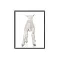 Picture of Behind Lamb _GroupedProduct_Rectangle_Portrait_Mini_ _GroupedProduct_Rectangle_Portrait_Canvas_Framed_