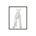 Picture of Behind Lamb _GroupedProduct_Rectangle_Portrait_Mini_ _GroupedProduct_Rectangle_Portrait_Canvas_Framed_