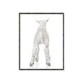 Picture of Behind Lamb _GroupedProduct_Rectangle_Portrait_Mini_ _GroupedProduct_Rectangle_Portrait_Canvas_Framed_