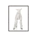 Picture of Behind Lamb _GroupedProduct_Rectangle_Portrait_Mini_ _GroupedProduct_Rectangle_Portrait_Canvas_Framed_