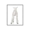 Picture of Behind Lamb _GroupedProduct_Rectangle_Portrait_Mini_ _GroupedProduct_Rectangle_Portrait_Canvas_Framed_