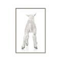 Picture of Behind Lamb _GroupedProduct_Rectangle_Portrait_Mini_ _GroupedProduct_Rectangle_Portrait_Canvas_Framed_