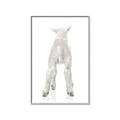 Picture of Behind Lamb _GroupedProduct_Rectangle_Portrait_Mini_ _GroupedProduct_Rectangle_Portrait_Canvas_Framed_
