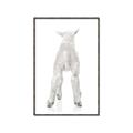 Picture of Behind Lamb _GroupedProduct_Rectangle_Portrait_Mini_ _GroupedProduct_Rectangle_Portrait_Canvas_Framed_