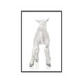 Picture of Behind Lamb _GroupedProduct_Rectangle_Portrait_Mini_ _GroupedProduct_Rectangle_Portrait_Canvas_Framed_