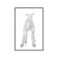Picture of Behind Lamb _GroupedProduct_Rectangle_Portrait_Mini_ _GroupedProduct_Rectangle_Portrait_Canvas_Framed_