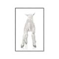 Picture of Behind Lamb _GroupedProduct_Rectangle_Portrait_Mini_ _GroupedProduct_Rectangle_Portrait_Canvas_Framed_