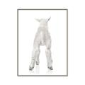 Picture of Behind Lamb _GroupedProduct_Rectangle_Portrait_Mini_ _GroupedProduct_Rectangle_Portrait_Canvas_Framed_